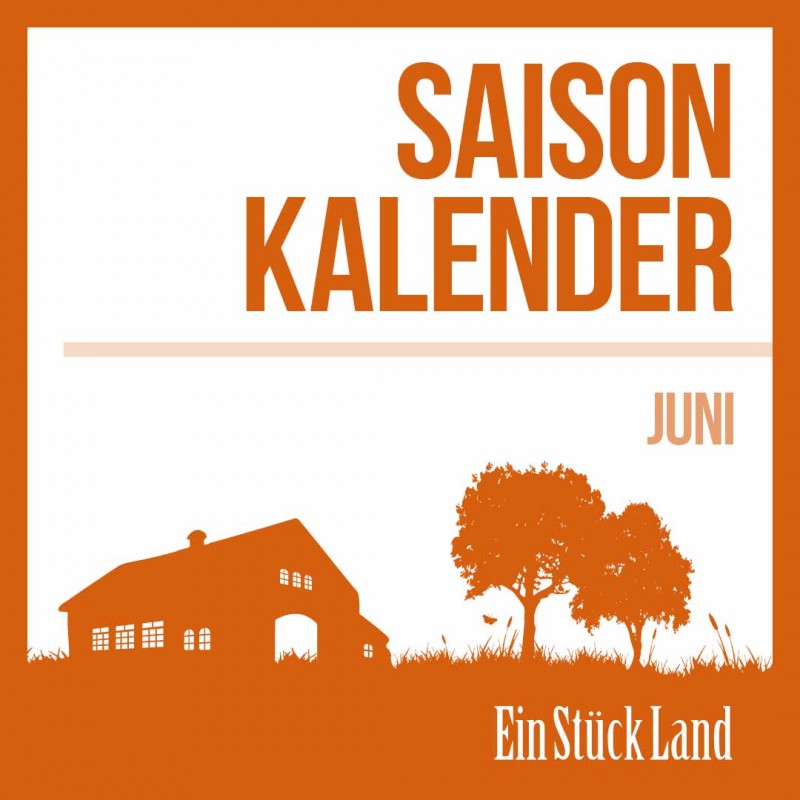 media/image/Juni-Saisonkalender-1.jpg