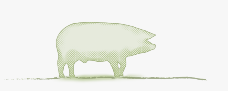 media/image/category_title_schwein.png