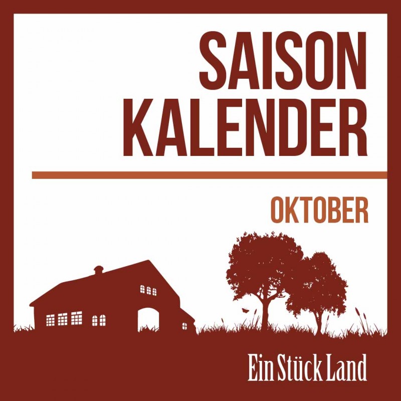 media/image/Oktober-Saisonkalender-1.jpg