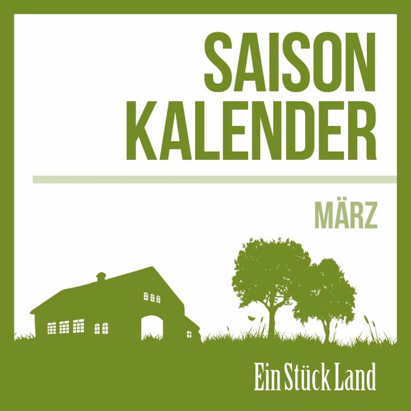 media/image/Marz-Saisonkalender-1.jpg