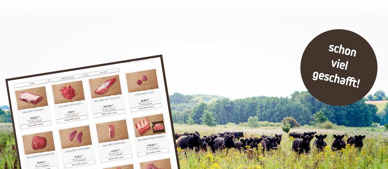 Crowdfunding-Blogbeitrag