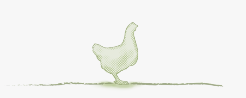 media/image/category_title_huhn.png