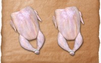 Geflügel-Paket "Am Stück"