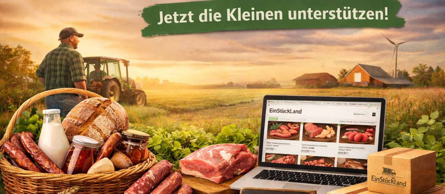 Regionale-Betriebe-unterstutzen-BlogBanner