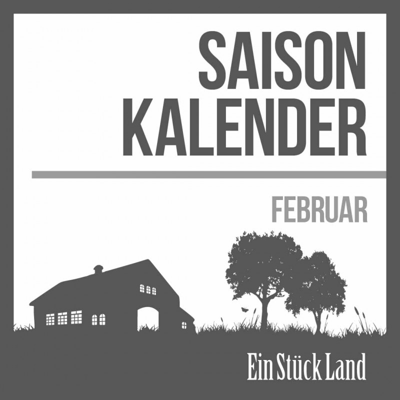 media/image/Februar-Saisonkalender-1.jpg