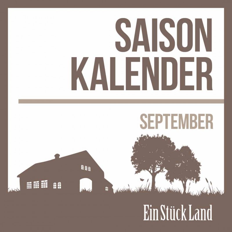 media/image/September-Saisonkalender-1.jpg