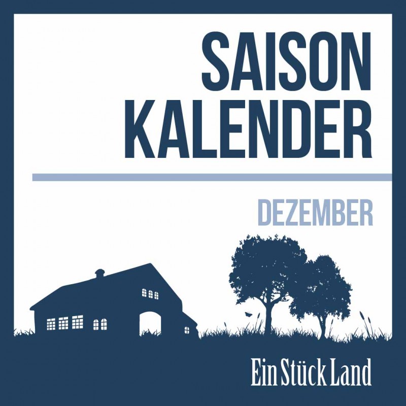 media/image/Dezember-Saisonkalender-1.jpg