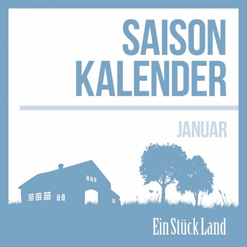 media/image/Januar-Saisonkalender-1.jpg
